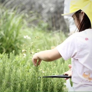 ハーブ畑の子供たち