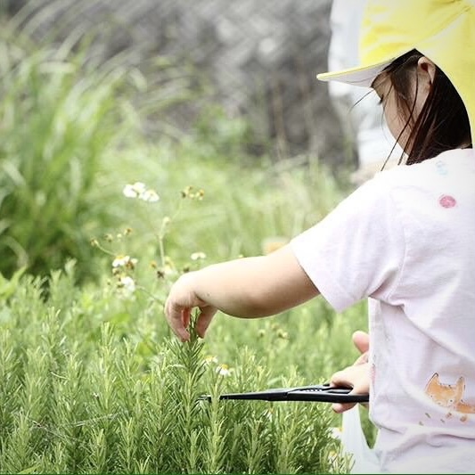 ハーブ畑の子供たち