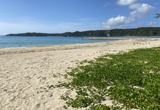 沖縄の砂浜