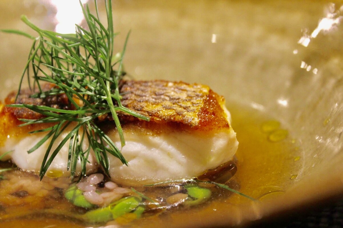 島魚と赤米のスープ仕立て