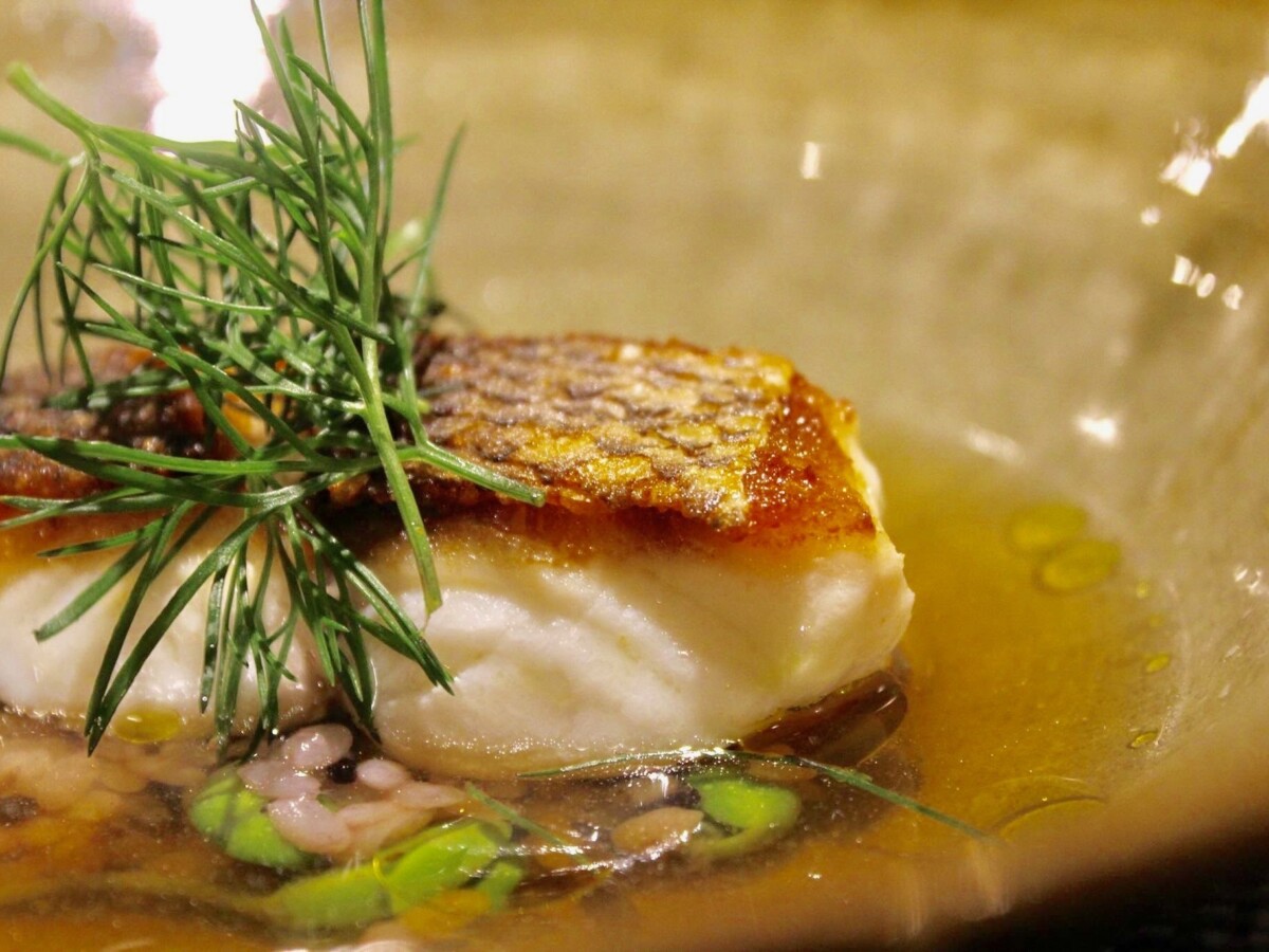 島魚と赤米のスープ仕立て